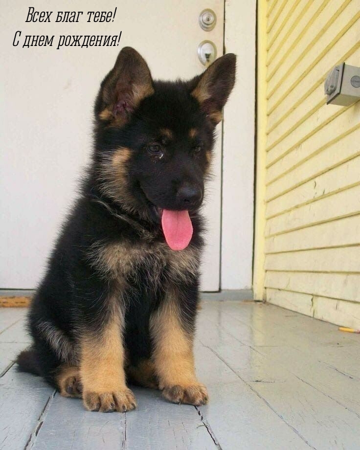 Всех благ тебе! С днем рождения!  