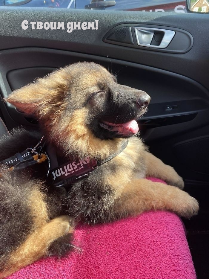 С твоим днем!