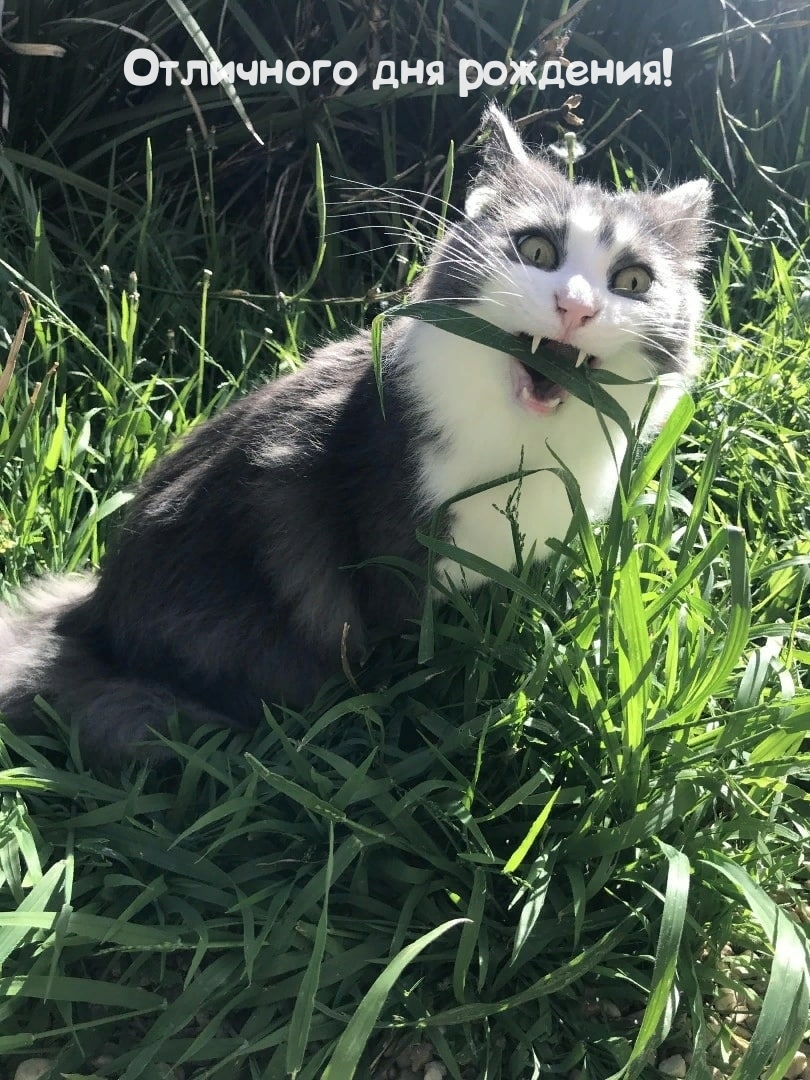 Отличного дня рождения! 