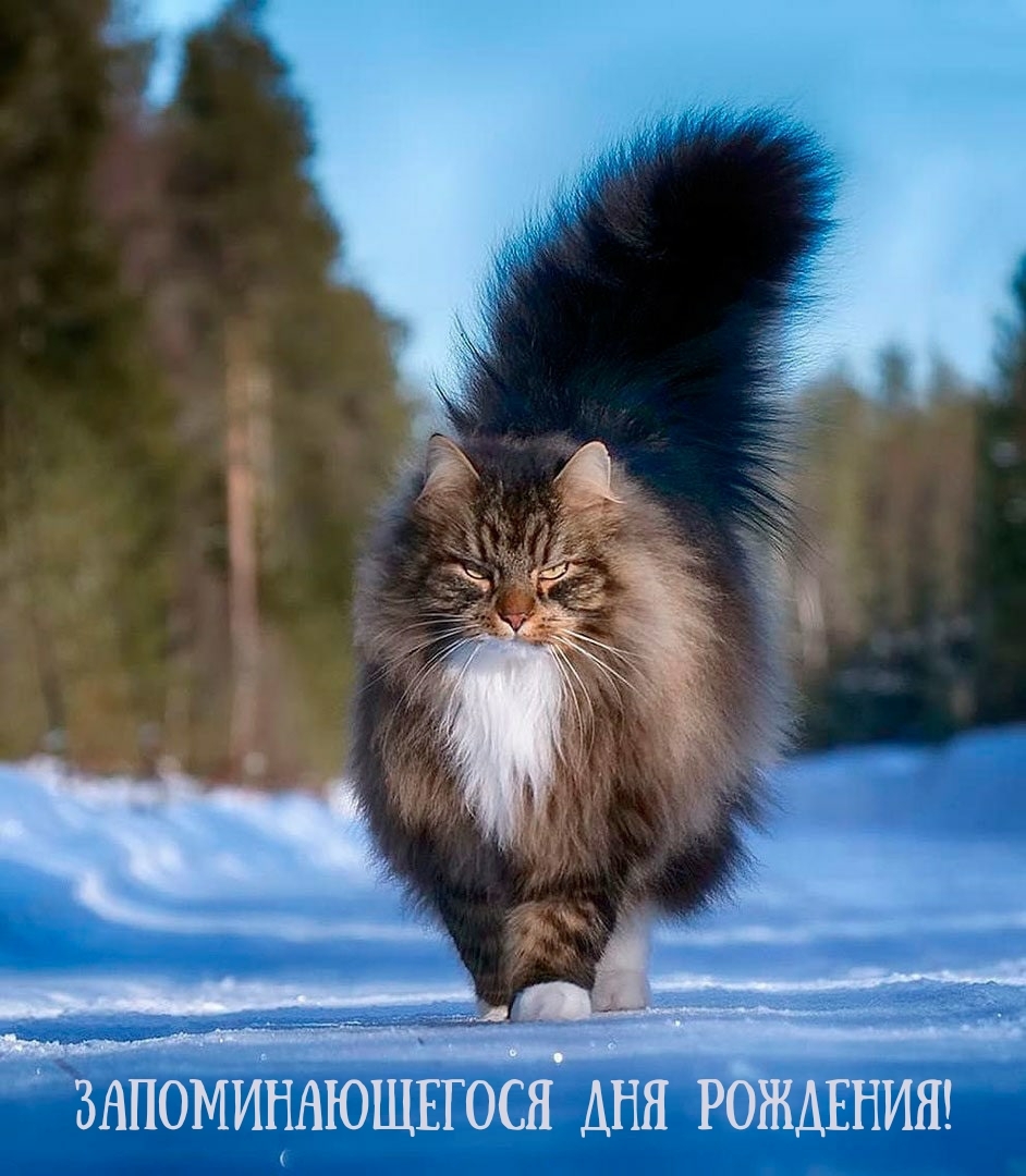 Запоминающегося дня рождения!