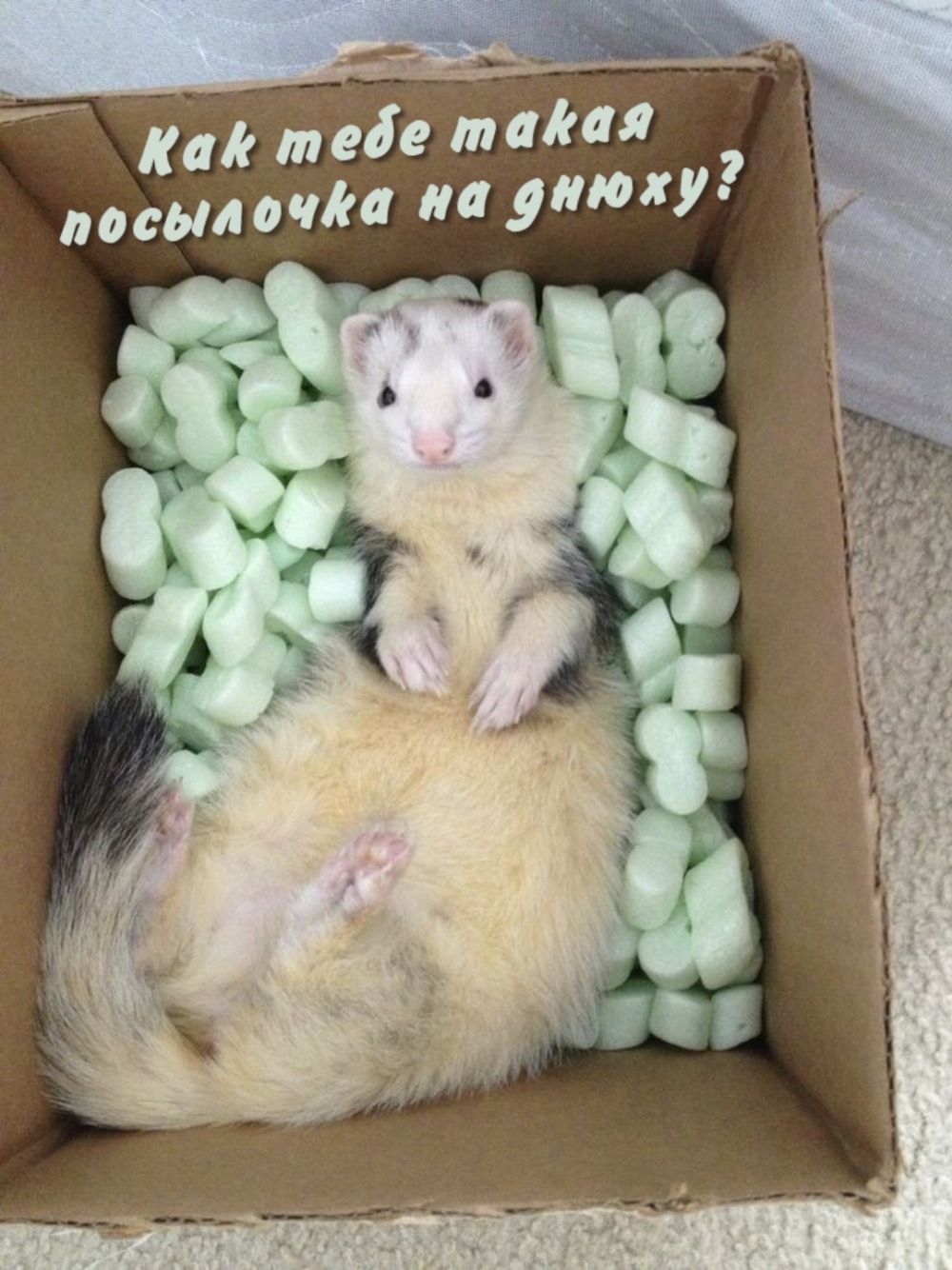 Как тебе такая посылочка на днюху?