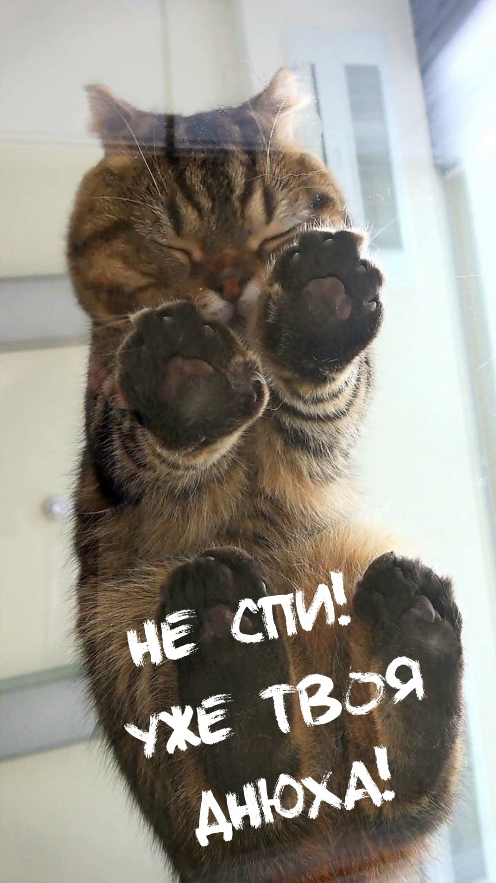 Не спи! Уже твоя днюха!