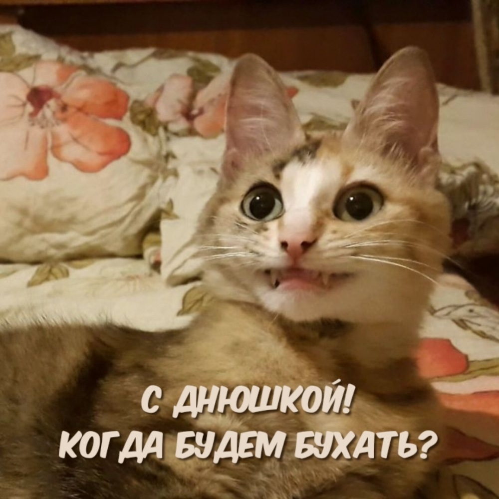 С днюшкой! Когда будем бухать?