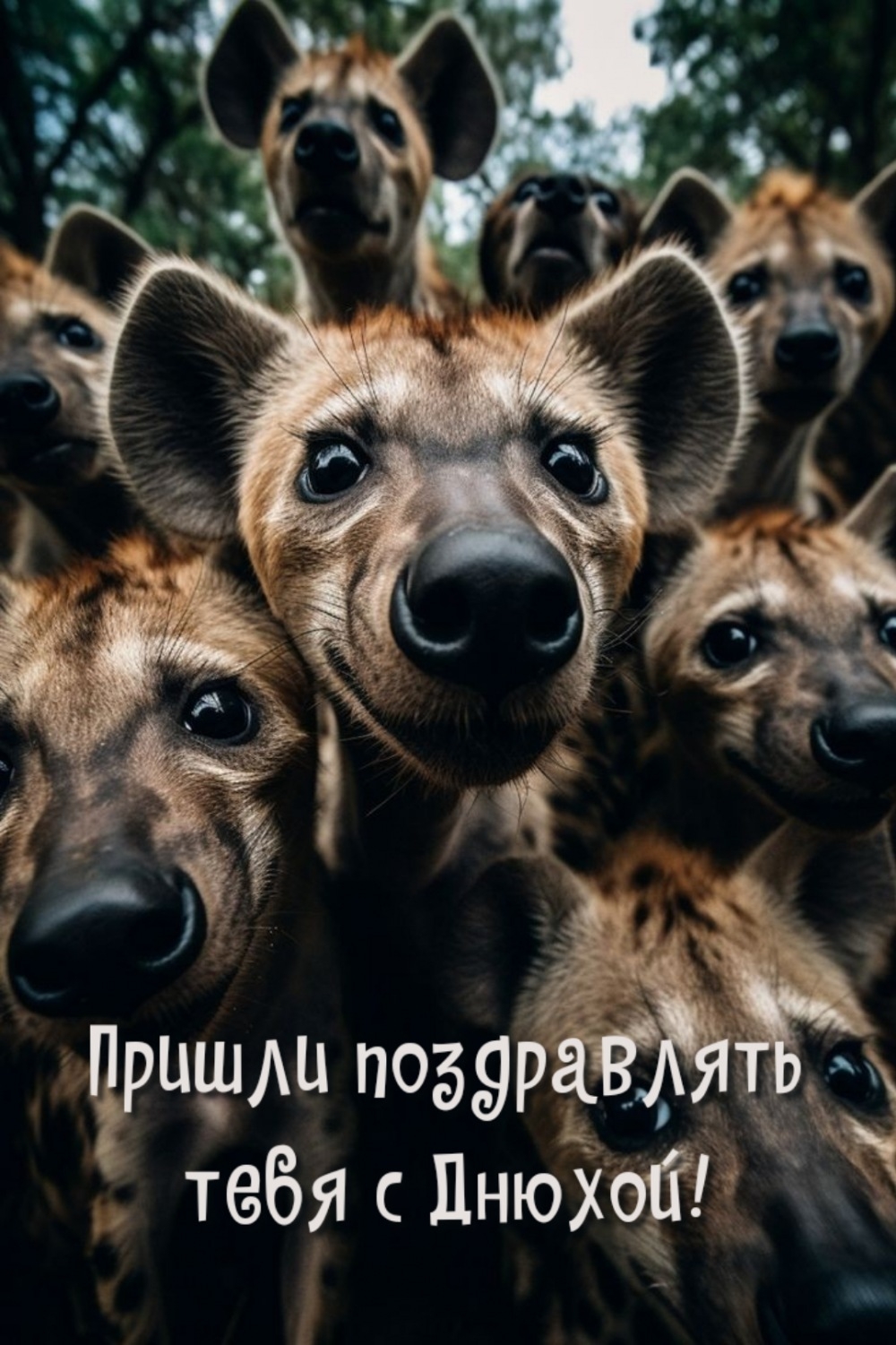 Пришли поздравлять тебя с Днюхой!