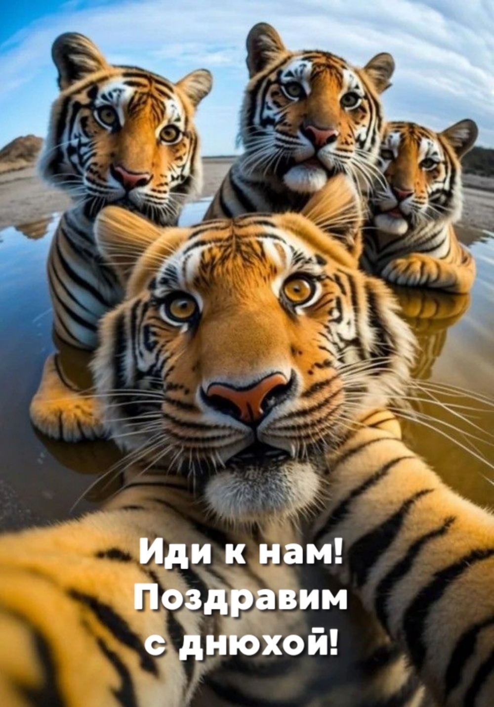 Иди к нам! Поздравим с днюхой!