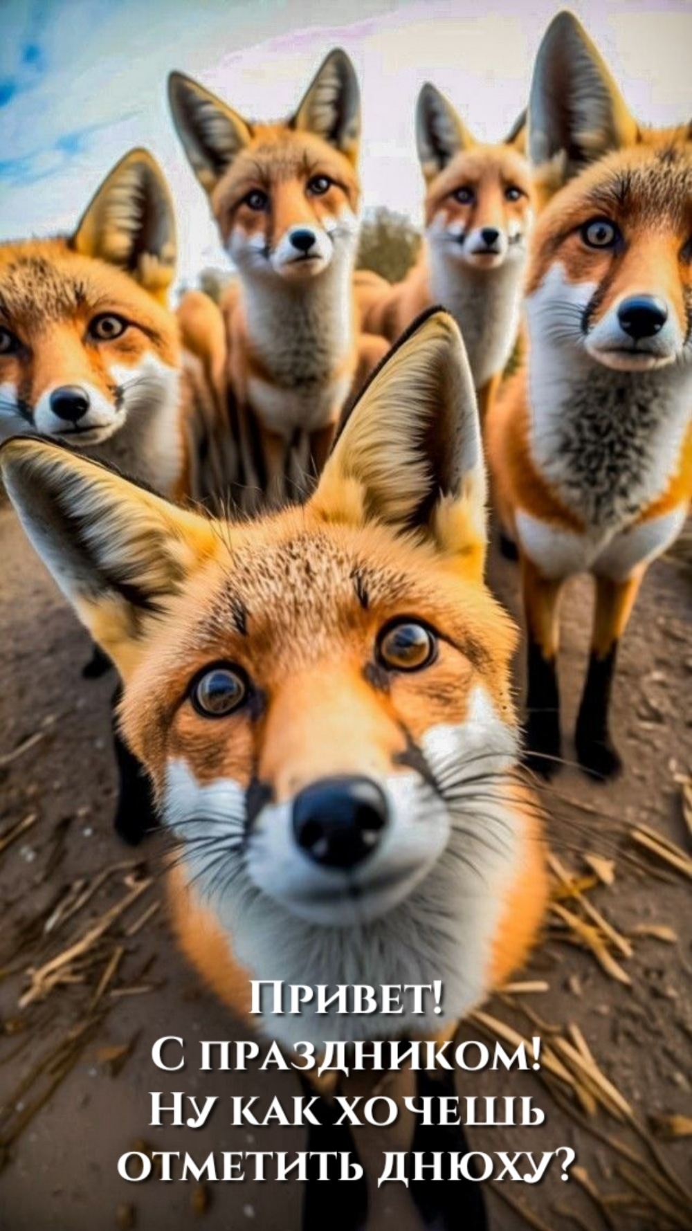 Привет! С праздником! Ну как хочешь отметить днюху?