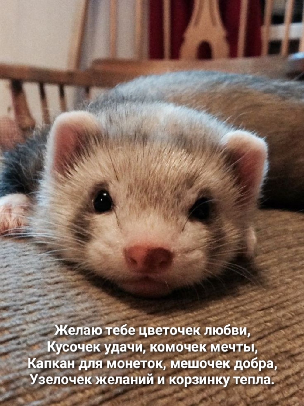 Желаю тебе цветочек любви, кусочек удачи, комочек мечты