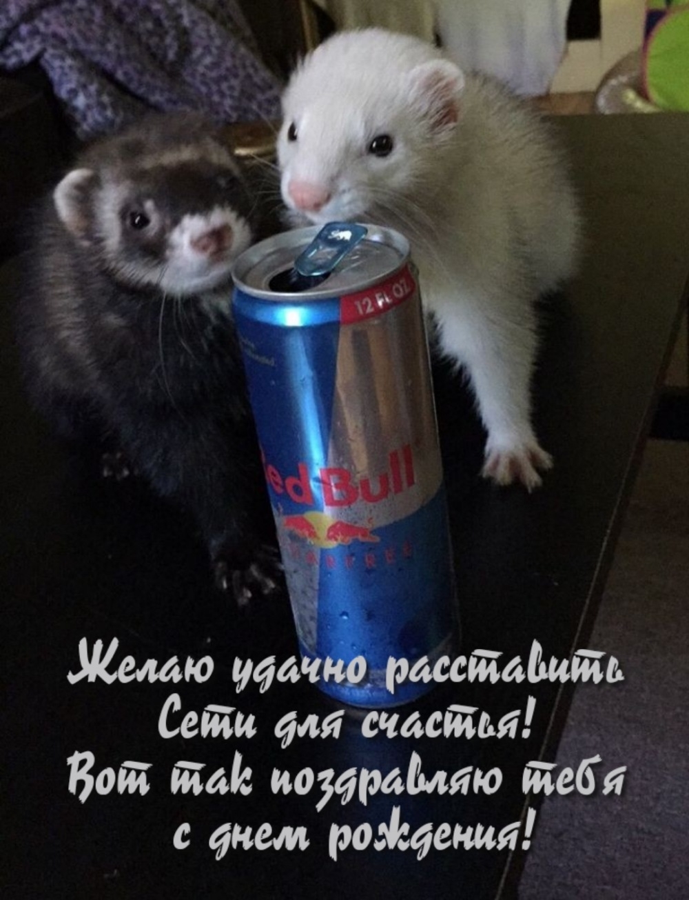 Вот так поздравляю тебя с днем рождения!