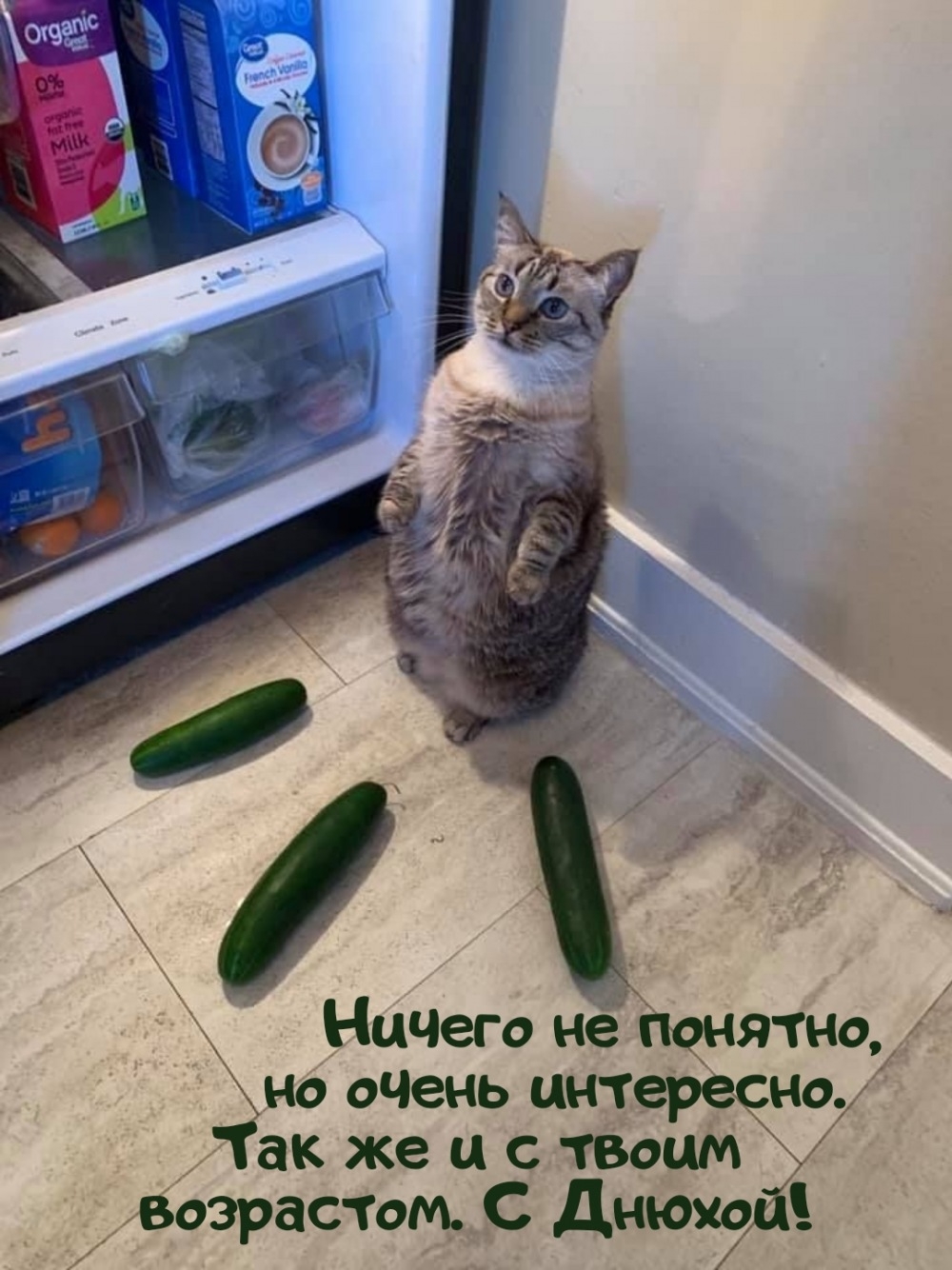 Так же и с твоим возрастом. С Днюхой!