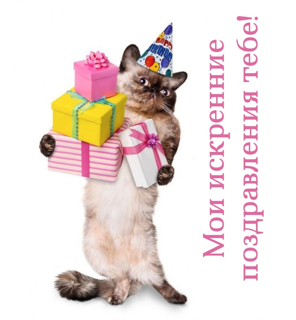 Мои искренние поздравления тебе!