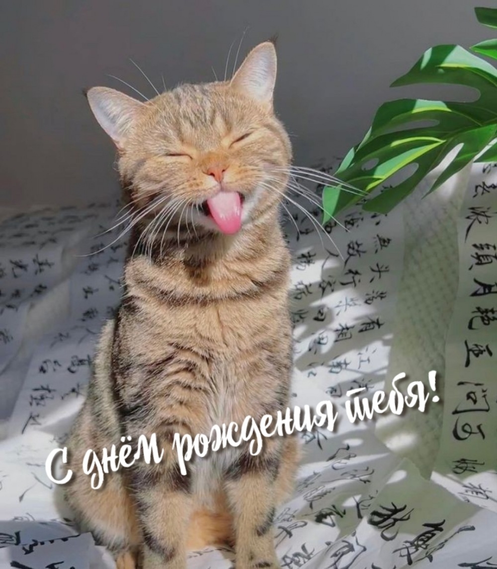 С днём рождения тебя!