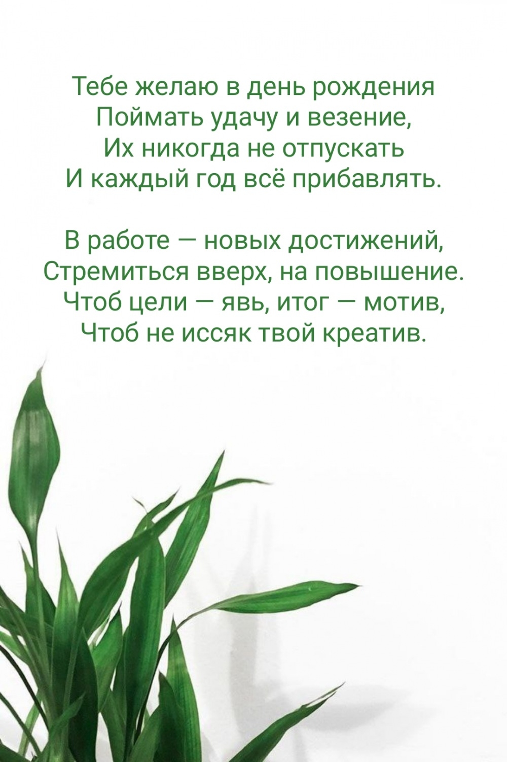 Тебе желаю в день рождения поймать удачу и везение