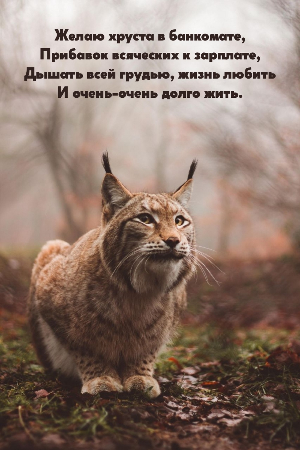 Желаю хруста в банкомате, прибавок всяческих к зарплате