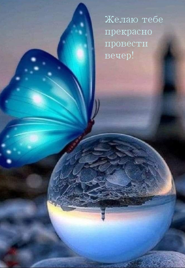 Желаю тебе прекрасно провести вечер!