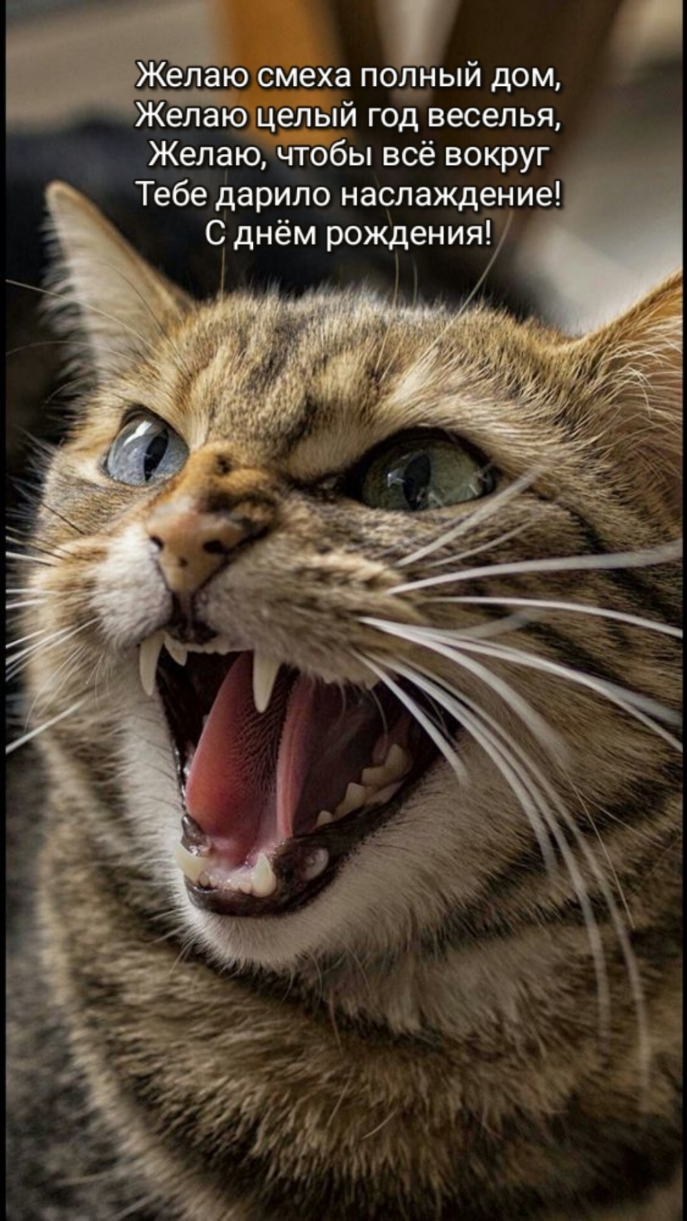С днём рождения! Желаю смеха полный дом