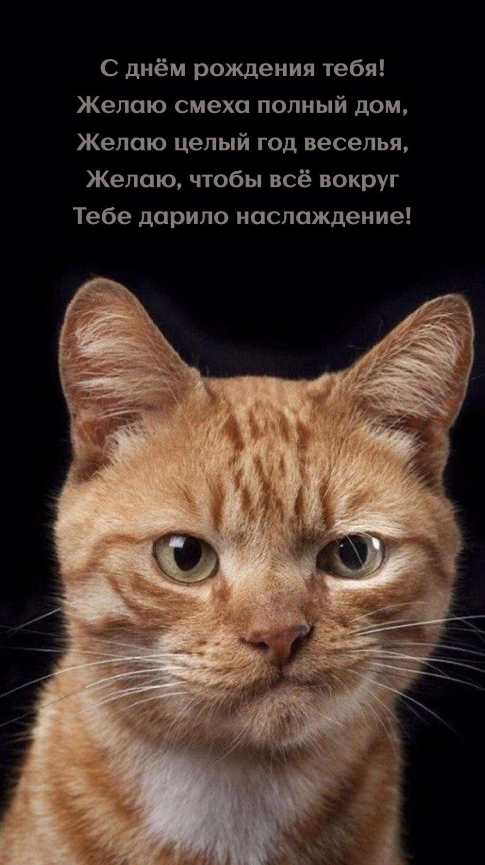 С днём рождения тебя! Желаю смеха полный дом