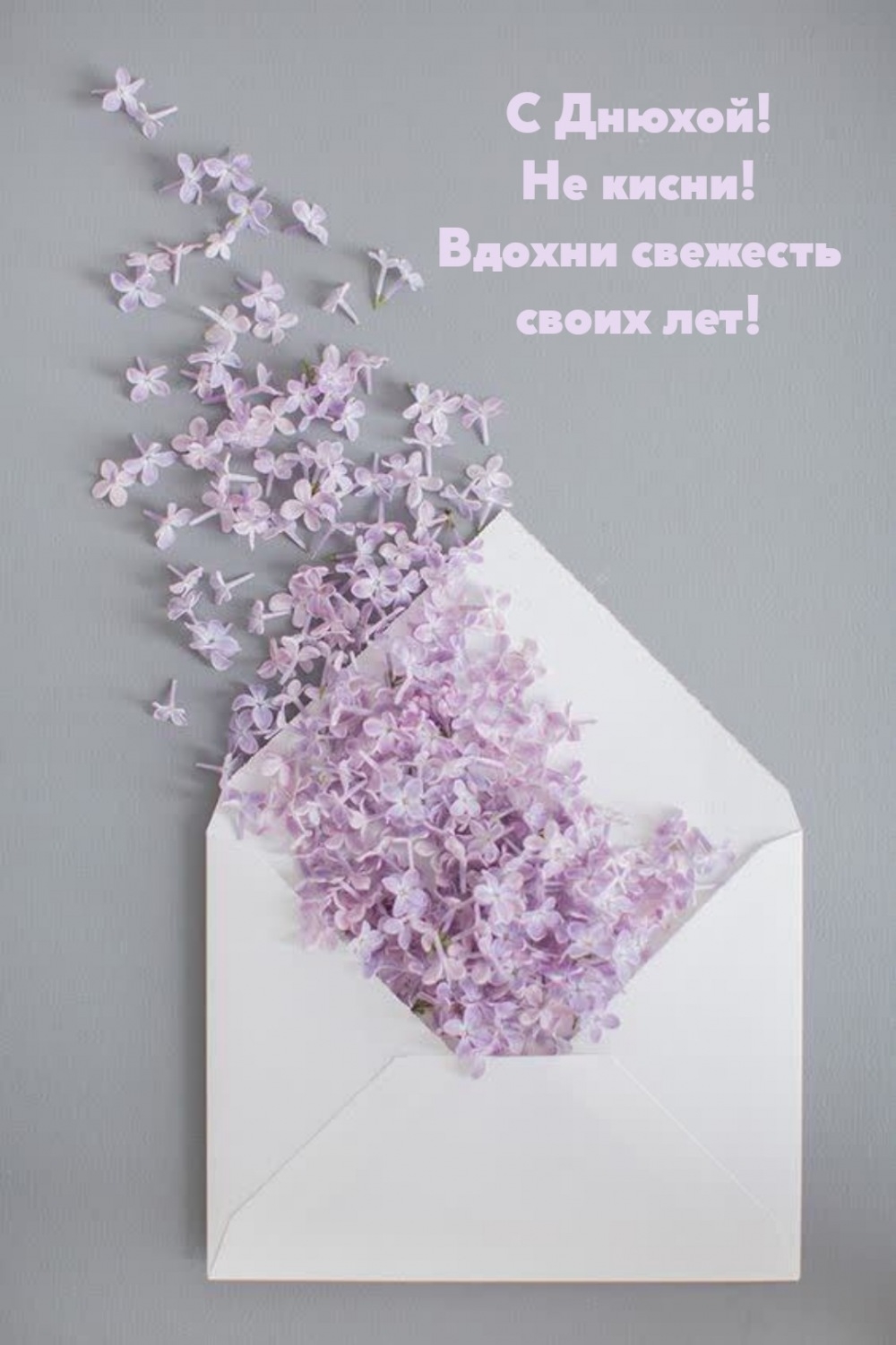 С Днюхой! Не кисни! Вдохни свежесть своих лет!