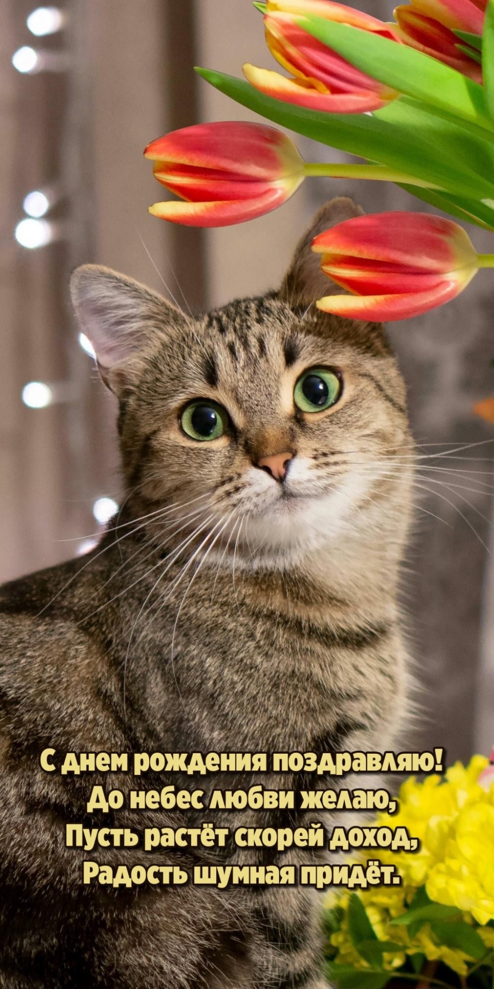 С днем рождения поздравляю! До небес любви желаю