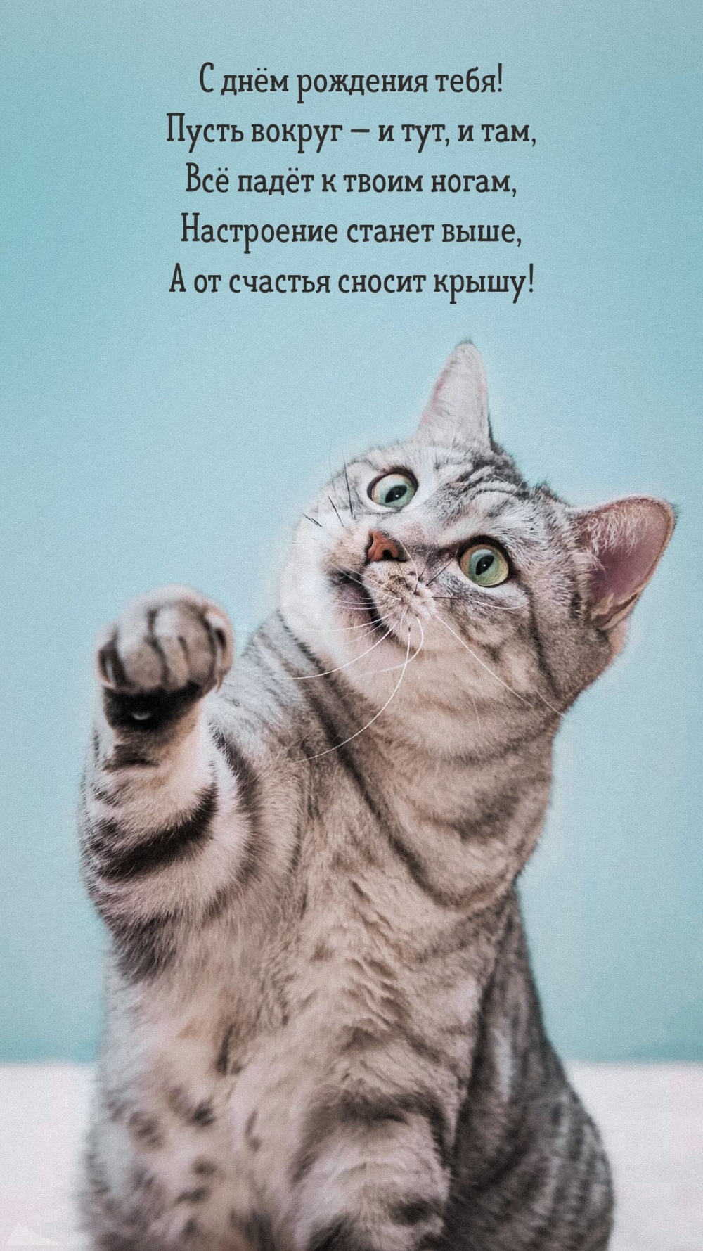 С днём рождения тебя! Пусть вокруг — и тут, и там