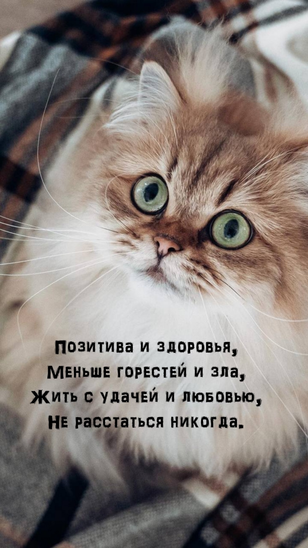 Позитива и здоровья, меньше горестей и зла