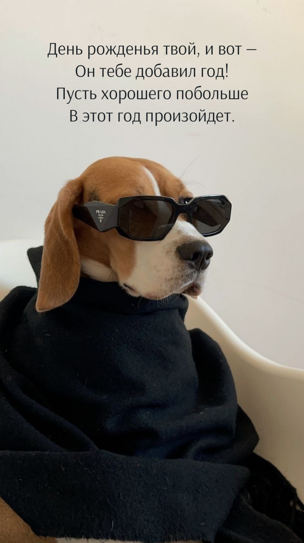 День рожденья твой, и вот — он тебе добавил год!
