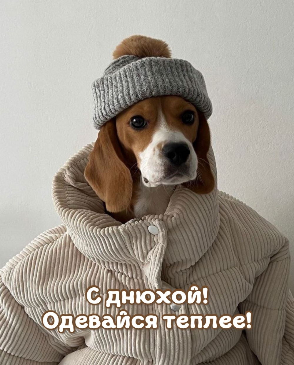 С днюхой! Одевайся теплее!