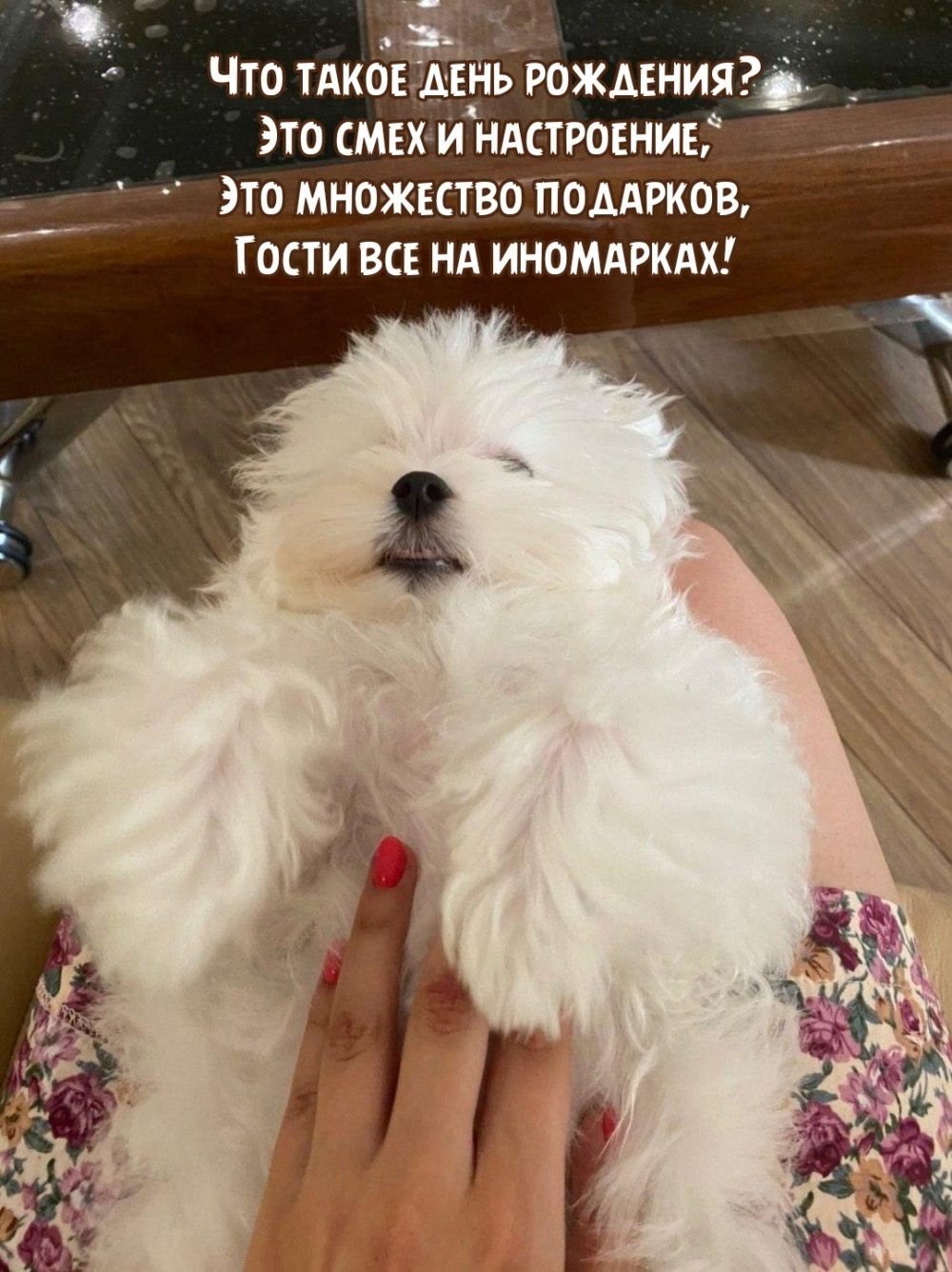 Что такое день рождения? Это смех и настроение