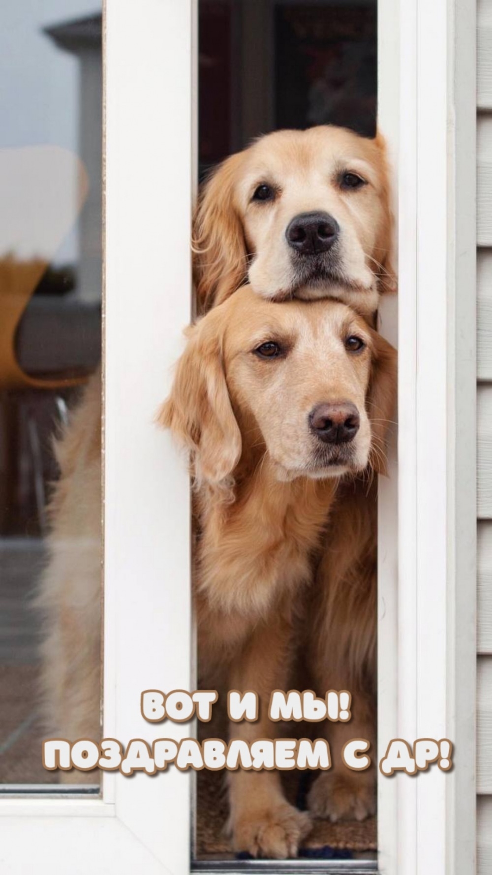 Вот и мы! Поздравляем с др!
