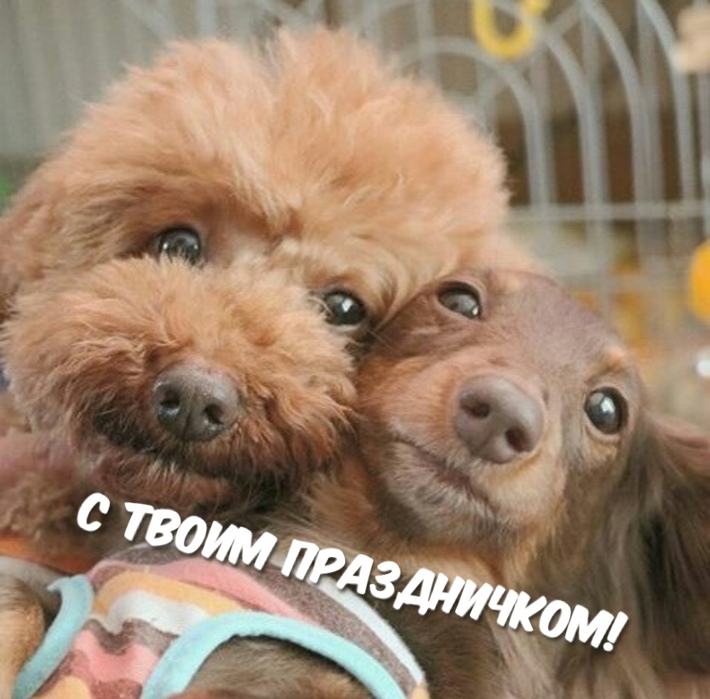 С твоим праздничком!