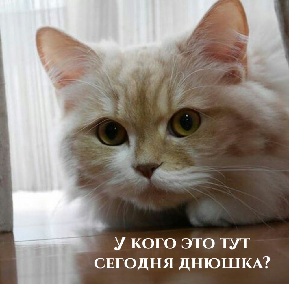 У кого это тут сегодня днюшка?