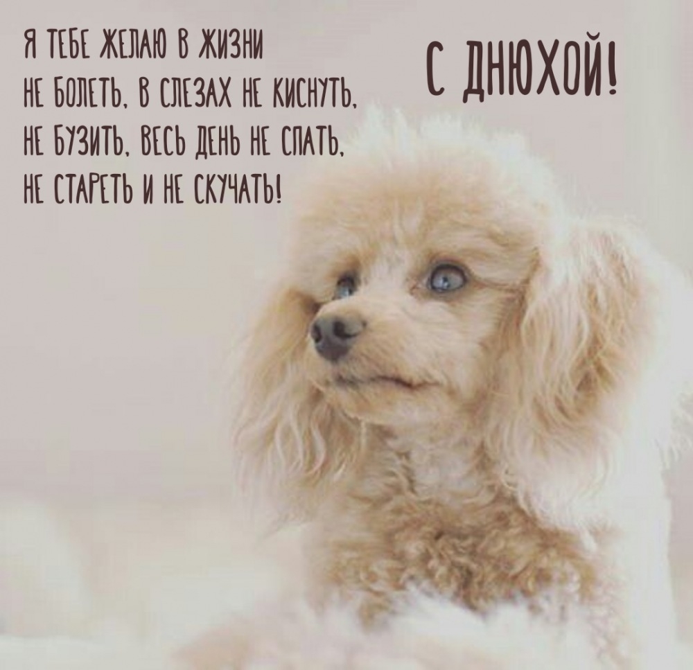С днюхой! Я тебе желаю в жизни Не болеть, в слезах не киснуть