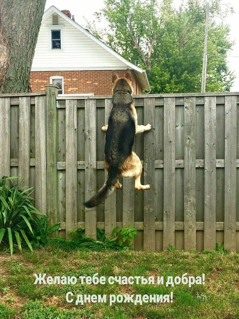 Желаю тебе счастья и добра! С днем рождения!