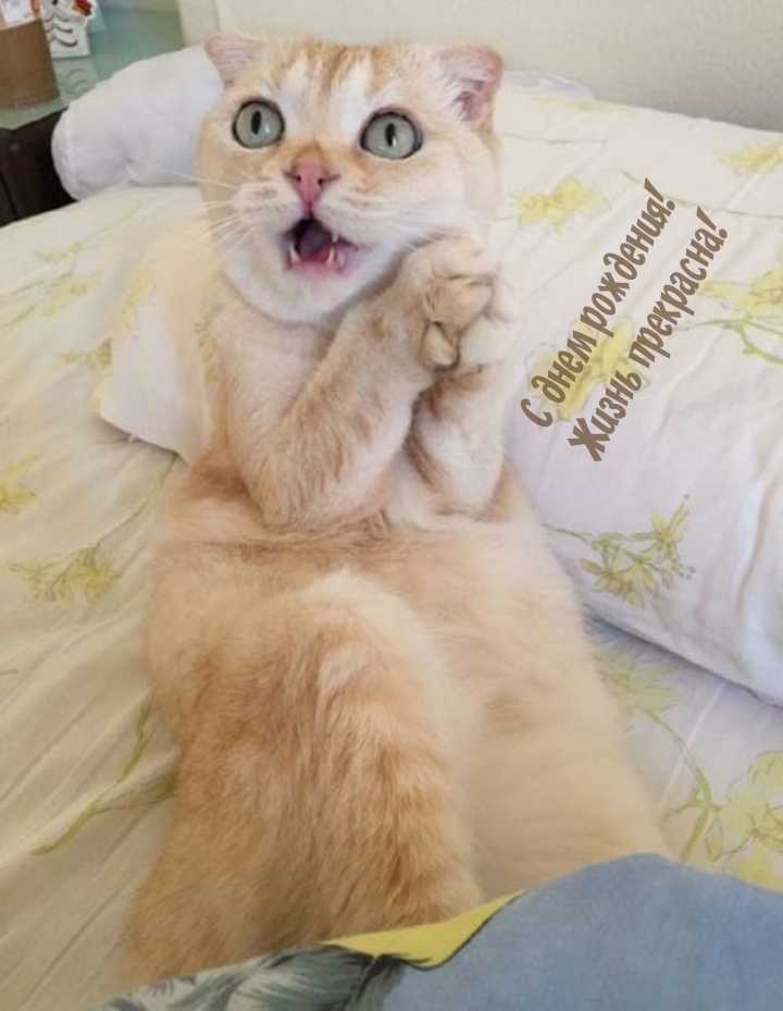 С днем рождения! Жизнь прекрасна!