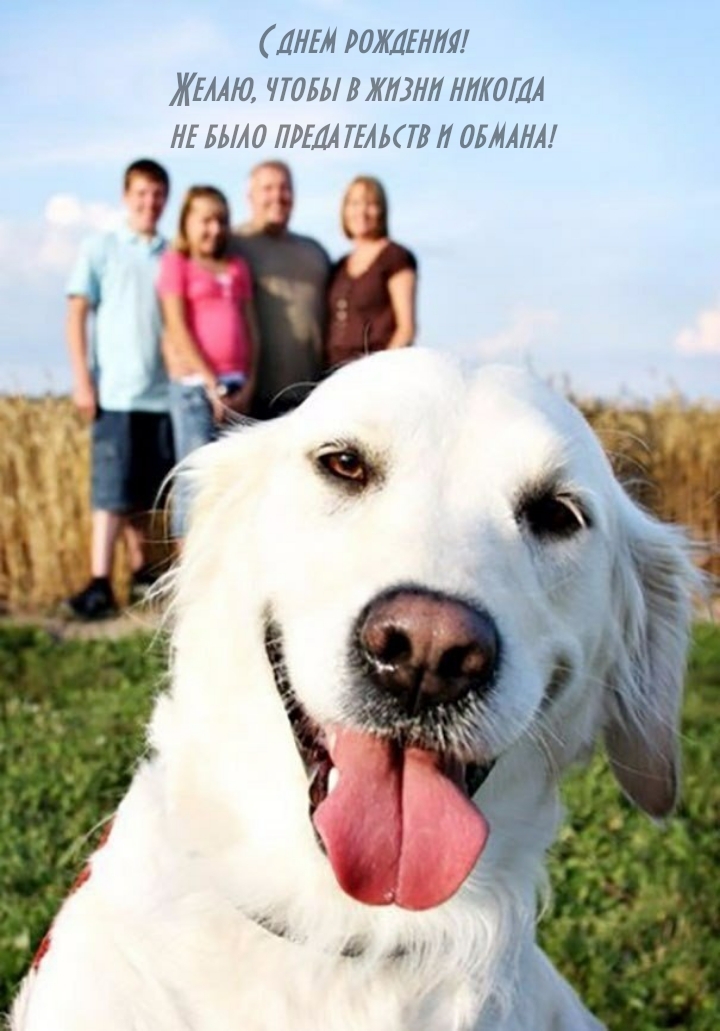 Желаю, чтобы в жизни никогда не было предательств и обмана!