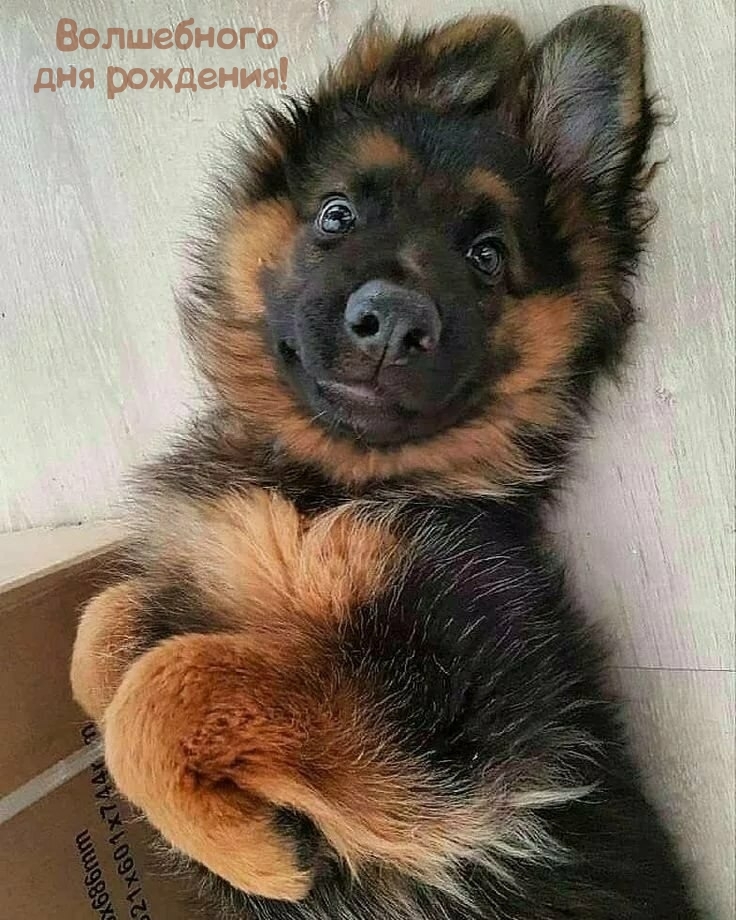 Волшебного дня рождения! 