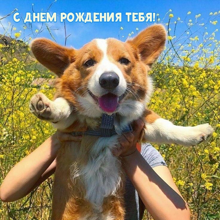 С днем рождения тебя!