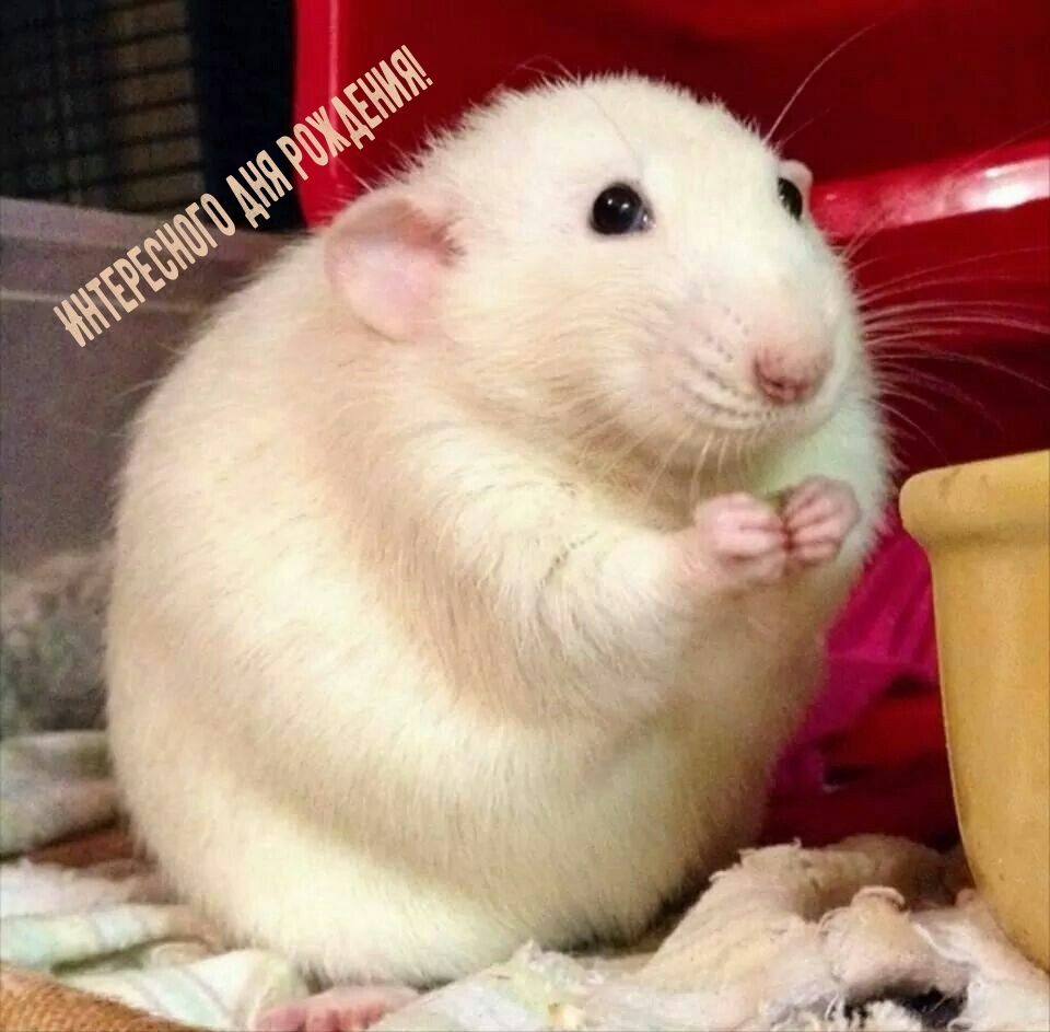 Интересного дня рождения! 