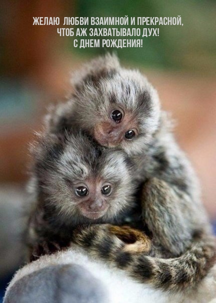 С днем рождения! Чтоб аж захватывало дух!