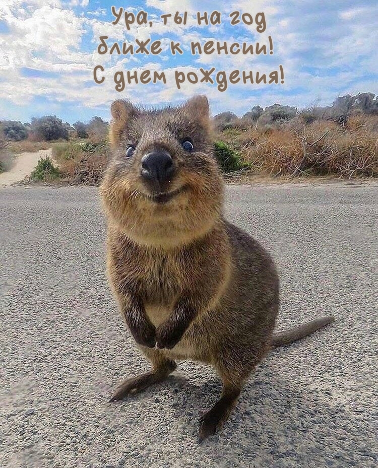 Ура, ты на год ближе к пенсии!  С днем рождения!