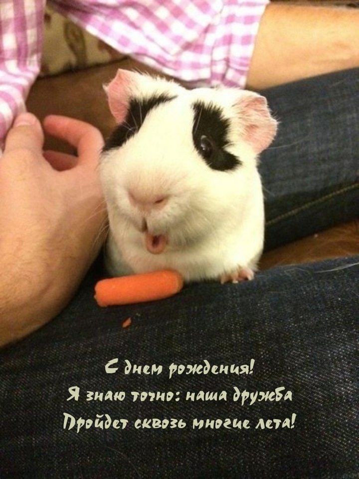 Я знаю точно: наша дружба пройдет сквозь многие лета!