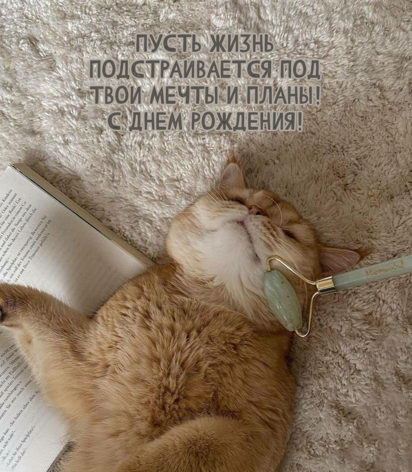 Пусть жизнь подстраивается под мечты и планы! С днем рождения!
