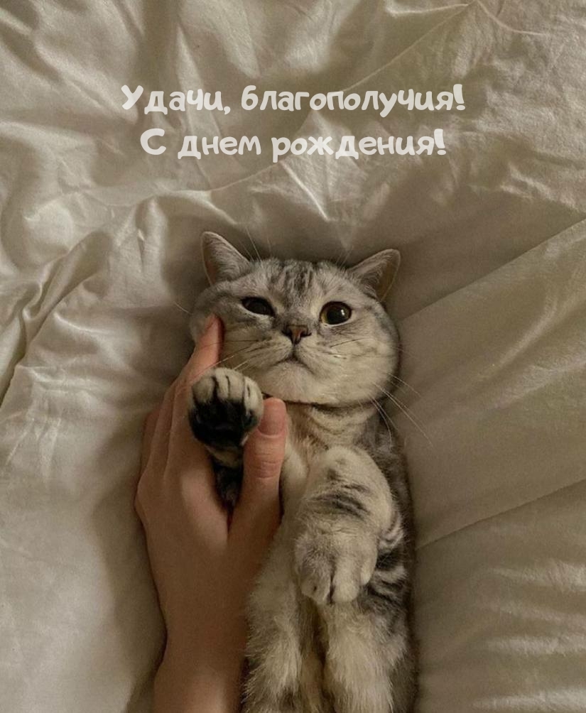 Удачи, благополучия! С днем рождения!