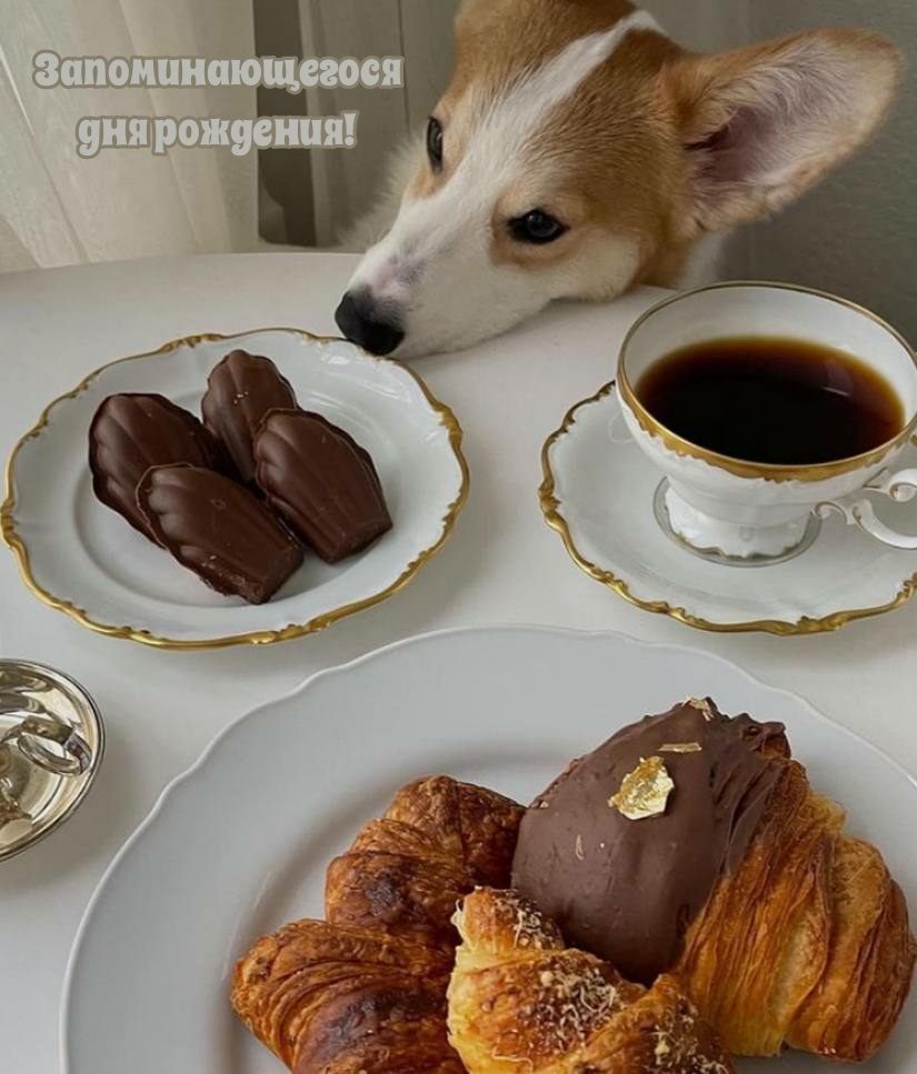 Запоминающегося дня рождения!