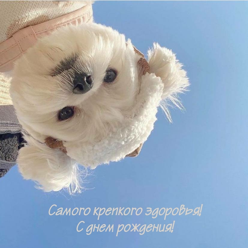 Самого крепкого здоровья! С днем рождения!