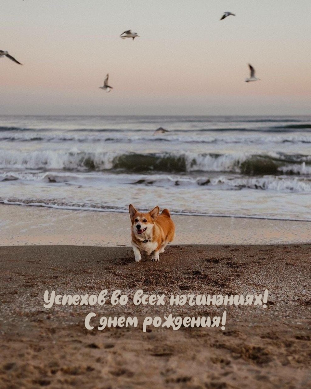 Успехов во всех начинаниях! С днем рождения!