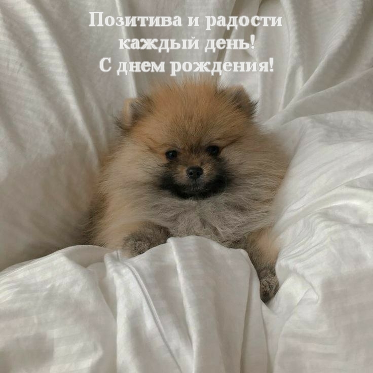 Позитива и радости каждый день! С днем рождения!