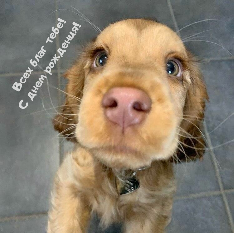 Всех благ тебе! С днем рождения!  