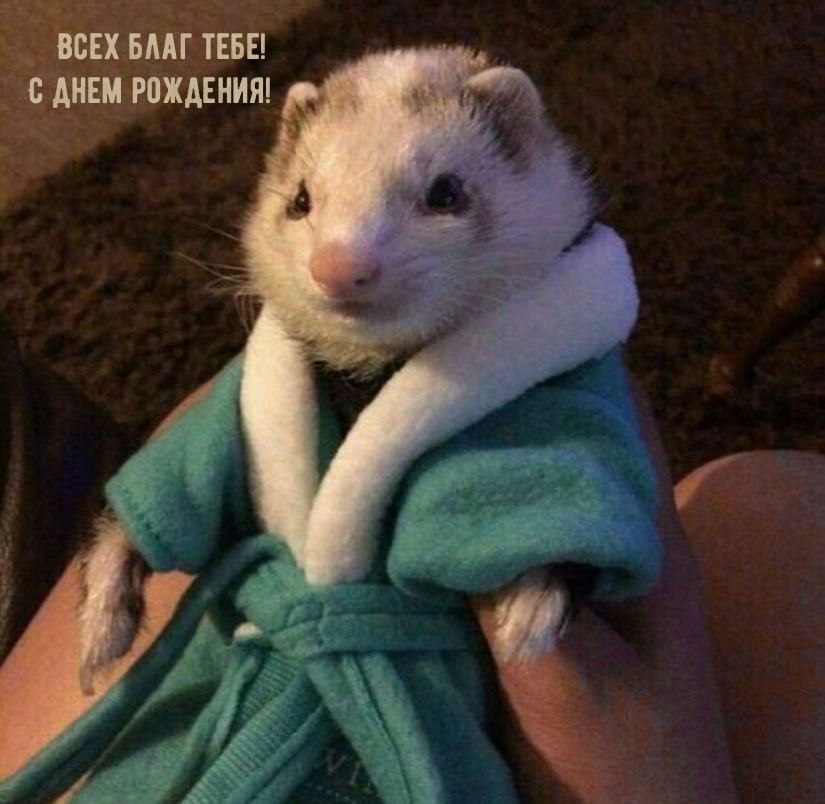 Всех благ тебе! С днем рождения!   