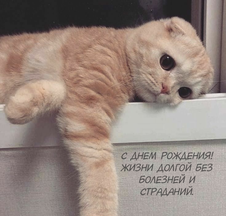 С днем рождения! Жизни долгой без болезней и страданий.