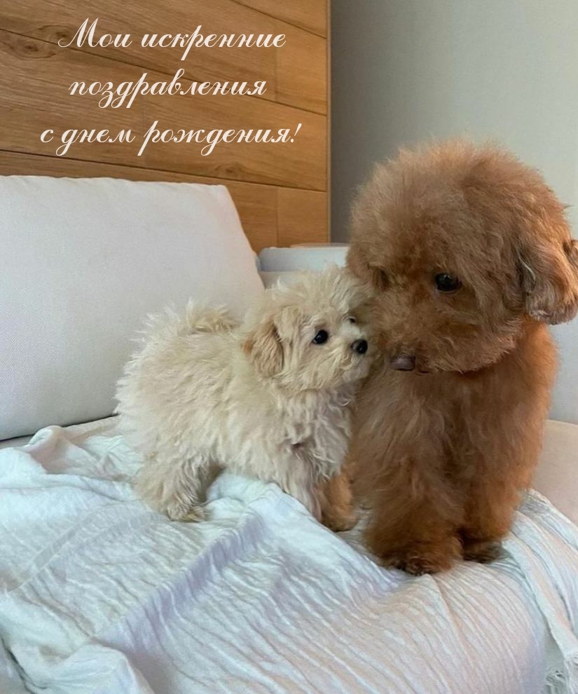 Мои искренние поздравления с днем рождения!